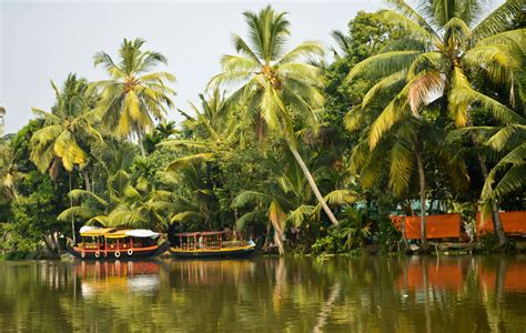 The Backwaters of Kerala for Honeymooners | Backwater Honeymoon in ...