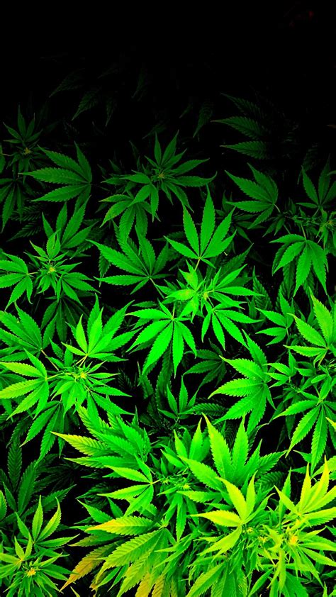 Marijuana Leaf Wallpaper - WallpaperSafari