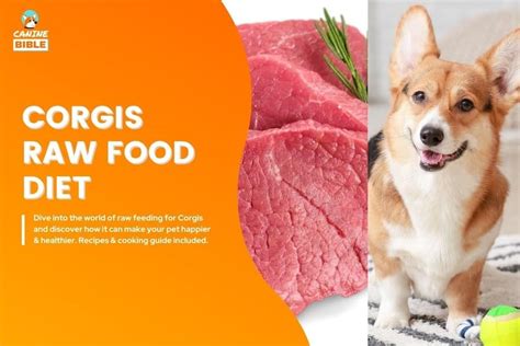 Corgi Raw Food Diet Guide: Best Recipes & Tips - Canine Bible