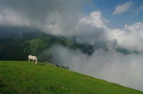 Awesome weather at Toli peer , Rawalakot - Pakistan . | Natural ...