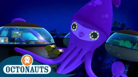 Octonauts - Colossal Squid & The Bowhead Whale | Cartoons for Kids ...