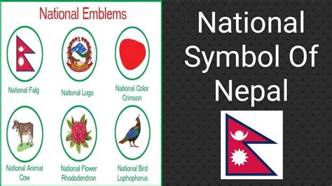 National symbol of Nepal | नेपाल को राष्ट्रीय पहिचान | सोशल स्टडी - YouTube