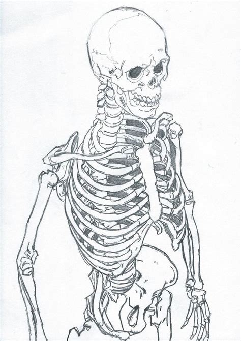 Skeleton sketch 0020 by CarlMalbern | Skeleton drawings, Skeleton art ...