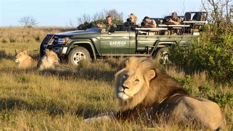 6 Tips to Enjoy Your Safari Adventure in South Africa – Your Travel Gal