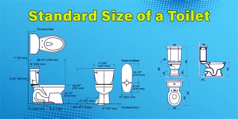 What is the Standard Size of a Toilet? - Twimbow