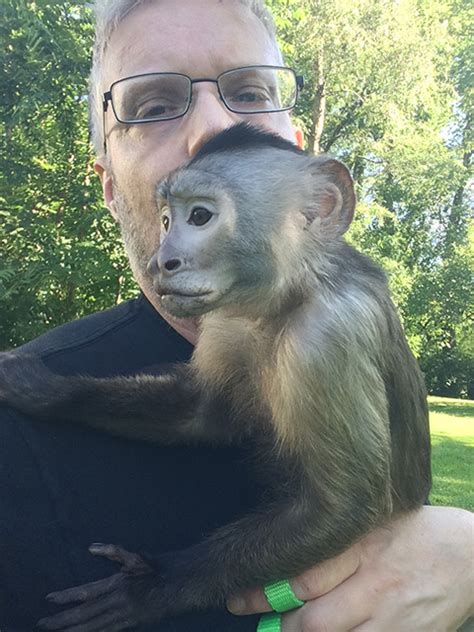 Capuchins as pets - Capuchin Care Sheet