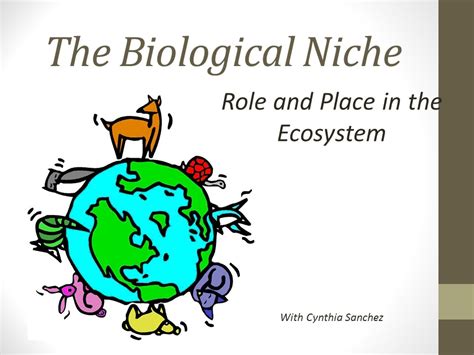 Definition Of Niche In Biology | Dale 972