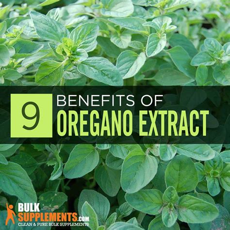 Oregano Extract: Benefits, Side Effects & Dosage