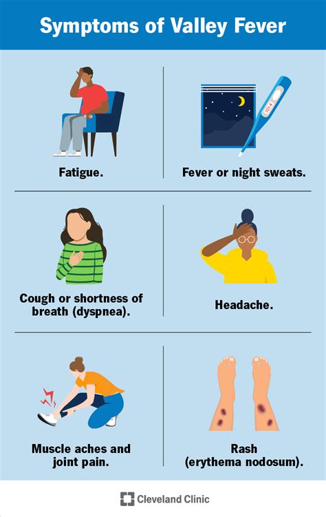 Valley Fever: Causes, Symptoms & Treatment