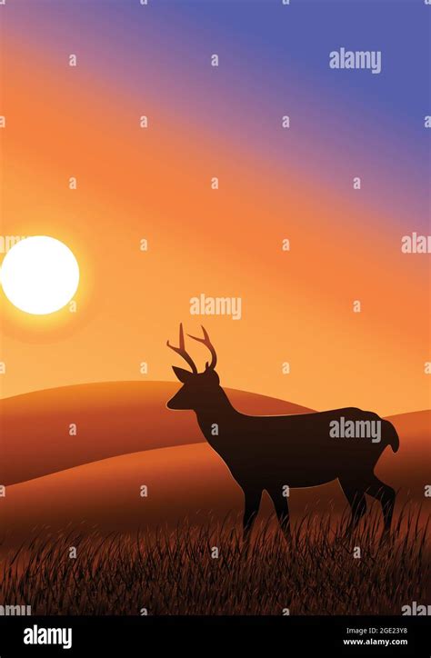 Deer silhouette on sunset background. Beautiful sunset background with ...