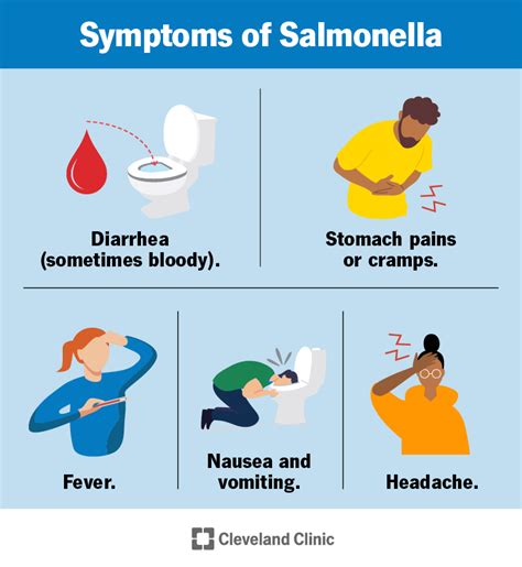 Salmonella: Outbreaks, Causes, Symptoms & Treatment