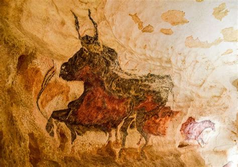 Why The New Stone Age Cave Paintings in France Are a Must-See | Stone ...