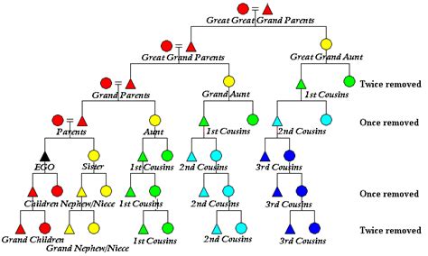 Figure 30: Counting Cousins