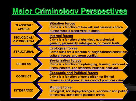 What Is Criminological Theory