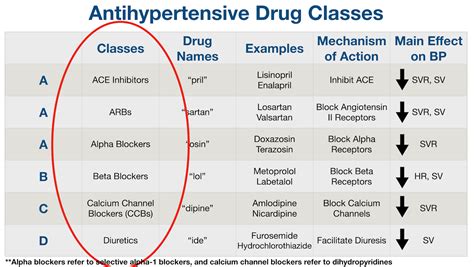 Beta Blocker Conversion Chart