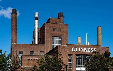 Guinness Logo: History and Meaning | Turbologo