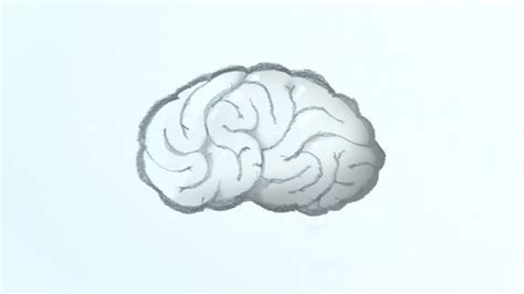 Simple Brain Drawing