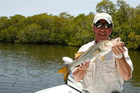 Complete Guide to Baits and Lures for Snook Fishing - FishFinder HQ