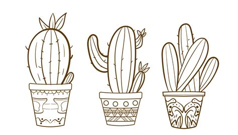 Hand drawn outline cactus set. Cactus plants nature elements cactus ...