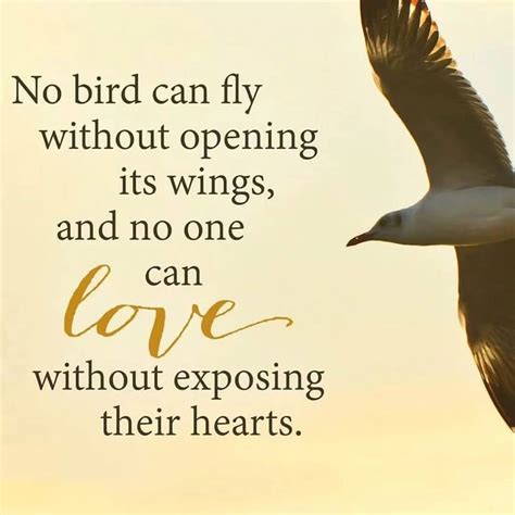 200 Beautiful Quotes About Birds