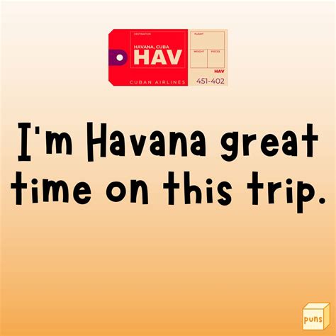 100+ Travel Puns to Make Travel Lovers Laugh - Box of Puns