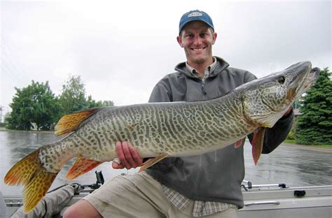 Muskie vs Pike: An Angler's Guide | Outdoor Life