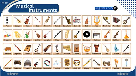 Musical Instruments Names with Infographics