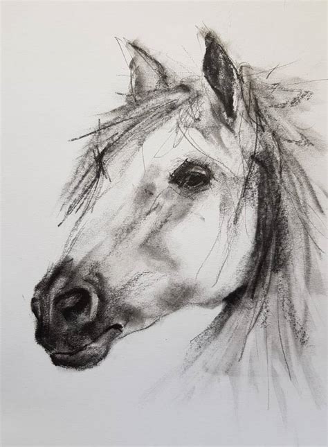 Horse face Drawing by Johan De Waal | Saatchi Art