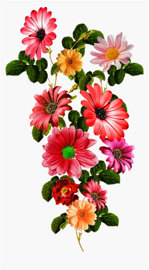 Vector,flower,vector Art,flower Vector,vector Flower - Flowers Vector ...