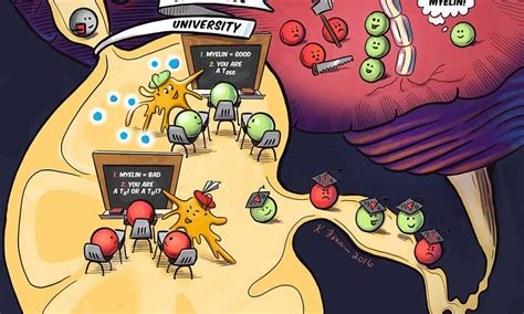 Autoimmunity in a cartoon