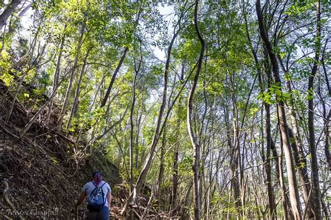 Best Volcano Hikes in Maui: Guide & Tips - Wiki Hiking