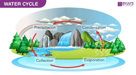 Water Cycle - A Diagram Of Water Cycle with Detailed Explanations