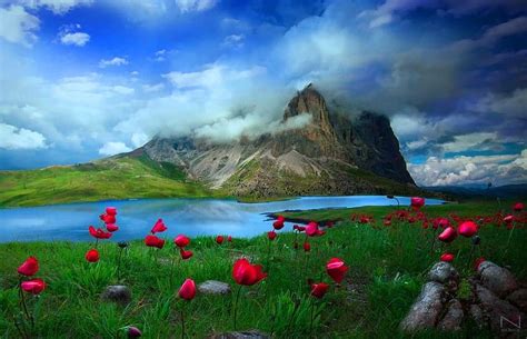 100 Background Nature Wallpaper For Laptop Images & Pictures - MyWeb