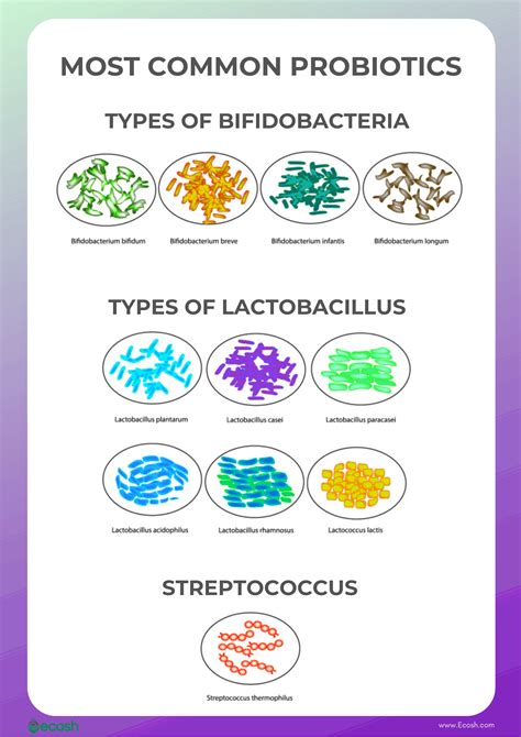 PROBIOTICS - 40 Health Benefits of Probiotics and 20 Top Probiotic ...