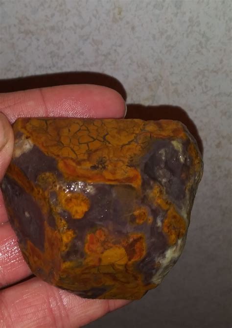 Is this Jasper? - Rocks & Minerals - The Fossil Forum