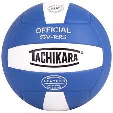 Best Volleyballs Brands | Volleyball Guide – Full Commando