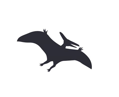 Pterodactyl Dinosaur Silhouette Vector Png Dinosaur Pterodactyl | The ...