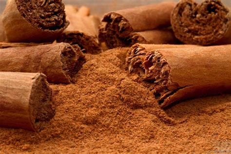 Buy 1 LB(16oz) 100% PURE Premium CEYLON Cinnamon Powder, SRI LANKA ...