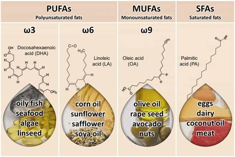 Improve Your Omega-6 to Omega-3 Balance – Rosemary Cottage Clinic Blog