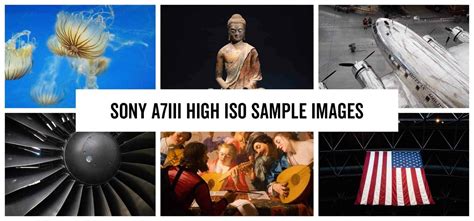 Sony a7III Low Light Performance Tests - High ISO Sample Images