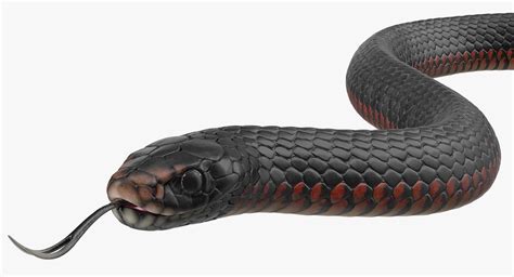 Snakes 3D Models Collection Rigged for Maya 3D Model $199 - .ma - Free3D