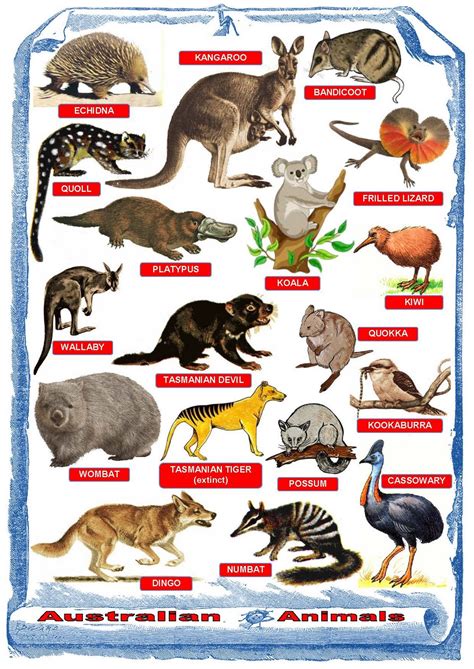 BILINGUAL AL-YUSSANA: AUSTRALIAN ANIMALS