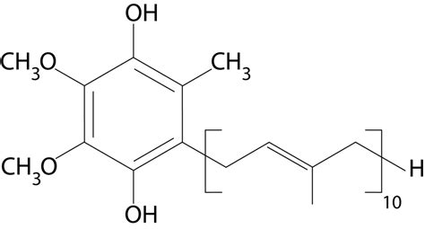 CoQ10: Does It Work? Is Ubiquinol Better Than Ubiquinone? | Prevmedhealth