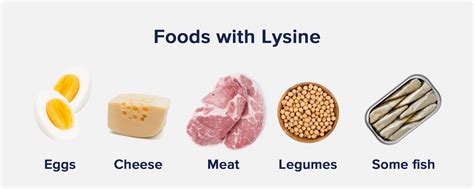 L-Lysine Benefits: From Anxiety to Muscle Growth - The Nutrition Insider