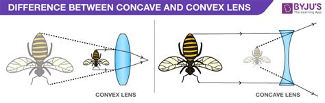 Difference Between Concave and Convex Lens - Image Properties