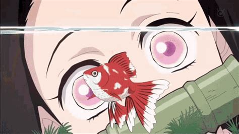 Nezuko X Zenitsu Nezuko Nezuko X Zenitsu Nezuko Goldfish | Porn Sex Picture