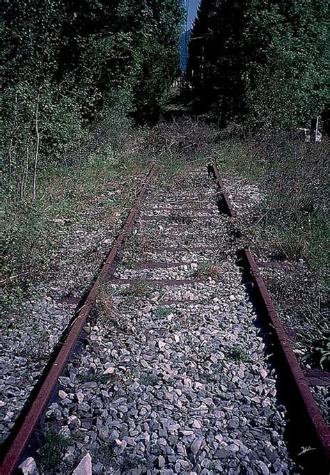 Old Abandoned Railroad Tracks is a photograph by Heinz G Mielke. Source ...