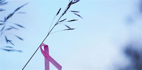 Exemestane cuts breast cancer recurrence in younger women