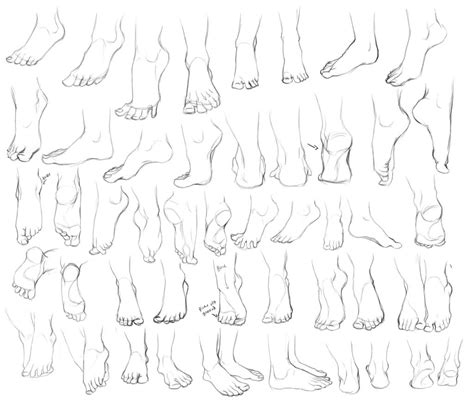 Feet Drawing Reference and Sketches for Artists