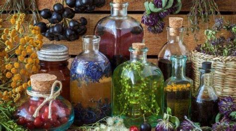 How To Make Herbal Tinctures | Homesteading